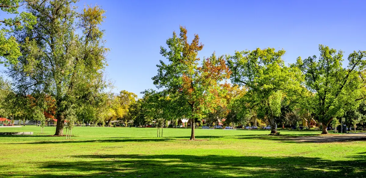 Trees and grass in McKinley Park, Sacramento.