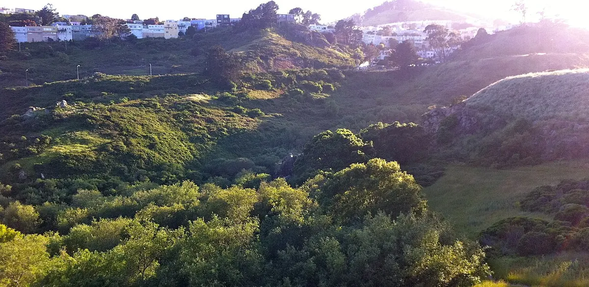 A green hillside and canyon in Glen Canyon Park, San Francisco.