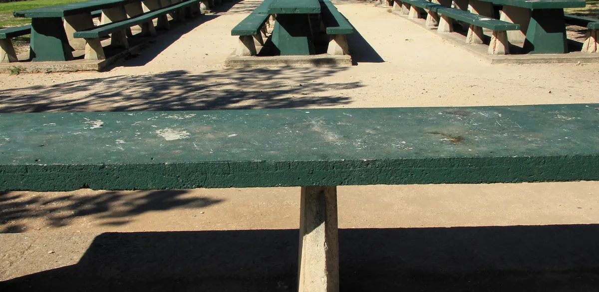 Empty picnic tables in the Rock Garden group picnic area at Zilker Park in Austin.