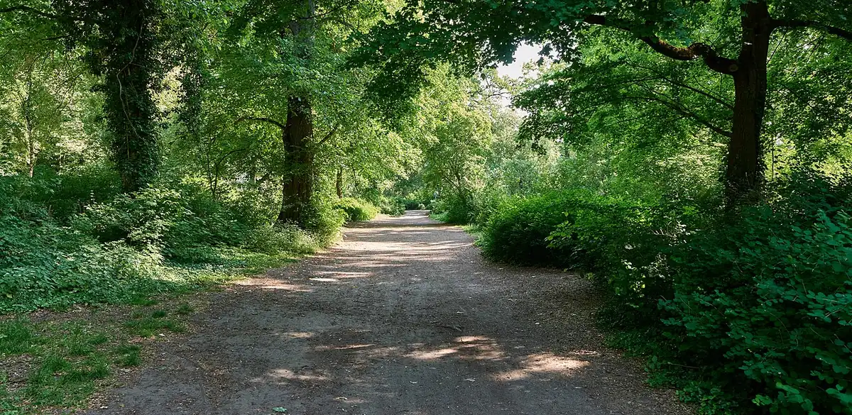 Bürgerpark Pankow, Berlin (Foto von 2024).