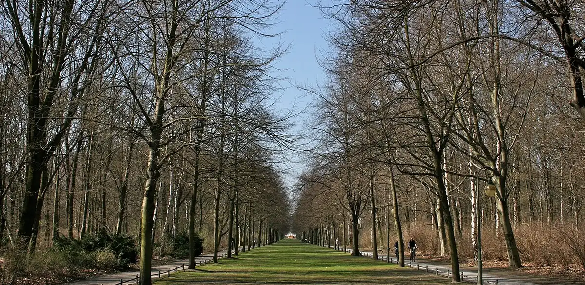 Weg im Großen Tiergarten, Berlin (Foto von 2009).