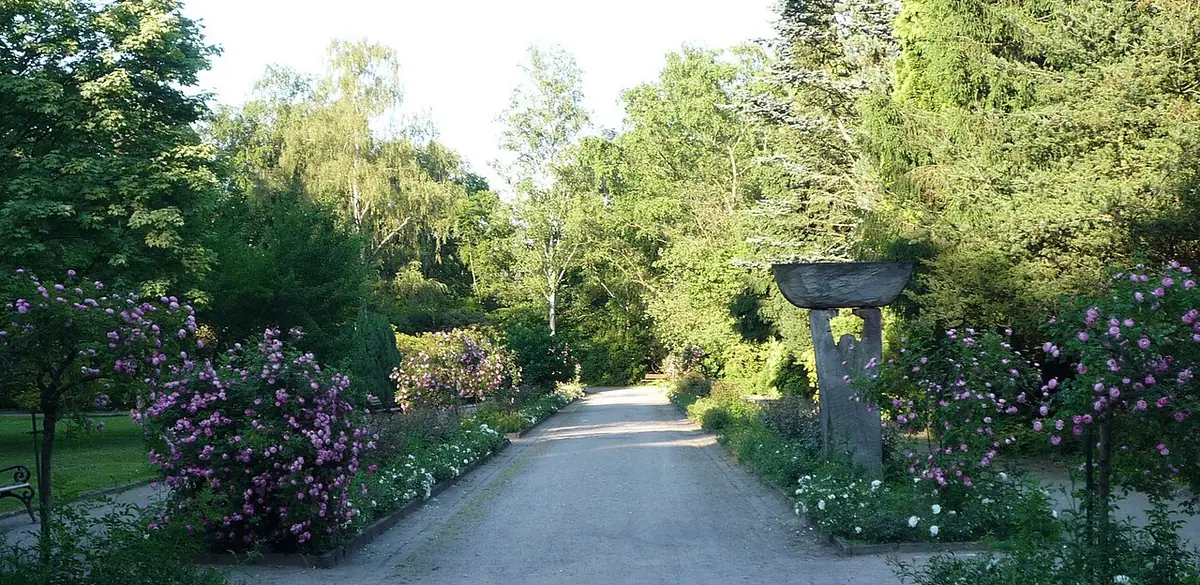 Botanischer Garten Rombergpark, Dortmund (Foto von 2010).