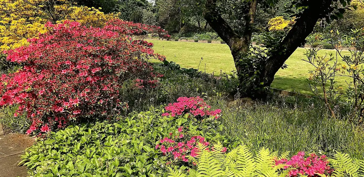 Blumengarten im Schlosspark Benrath, Düsseldorf (Foto von 2023).