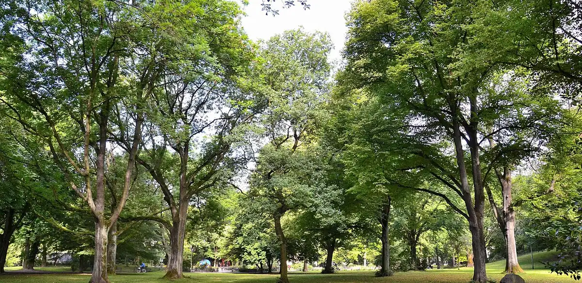 Gervinuspark, Essen (Foto von 2011).