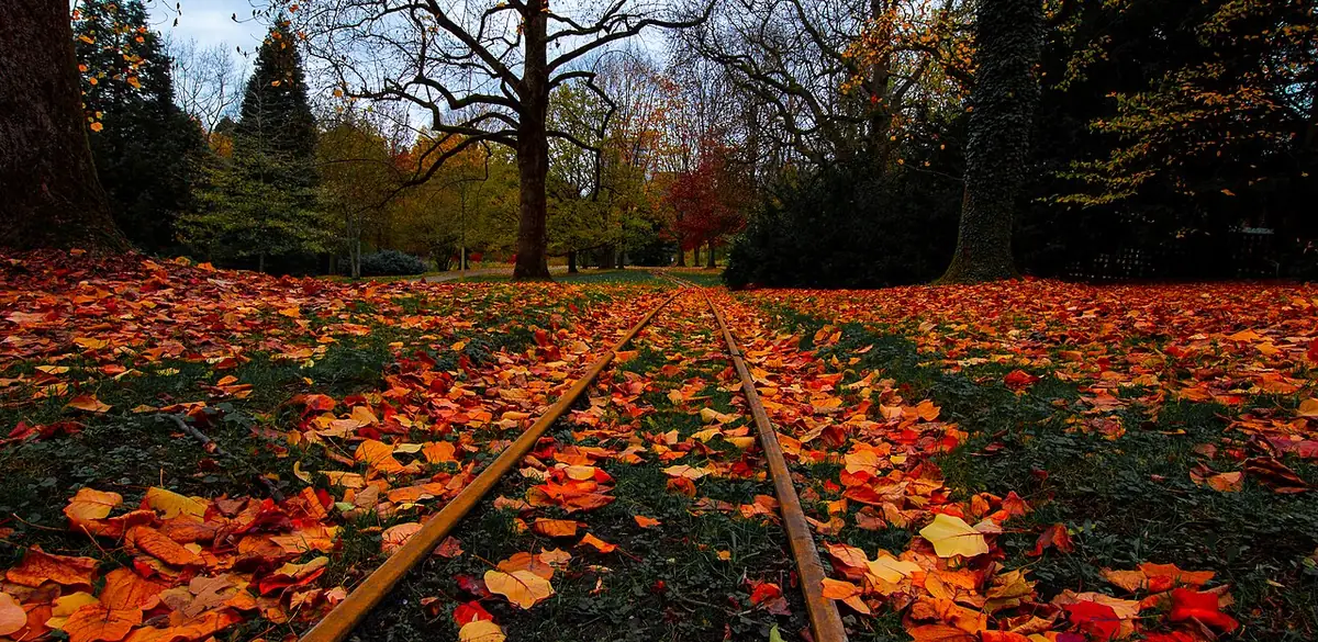 Grugapark, Essen (Foto von 2021).