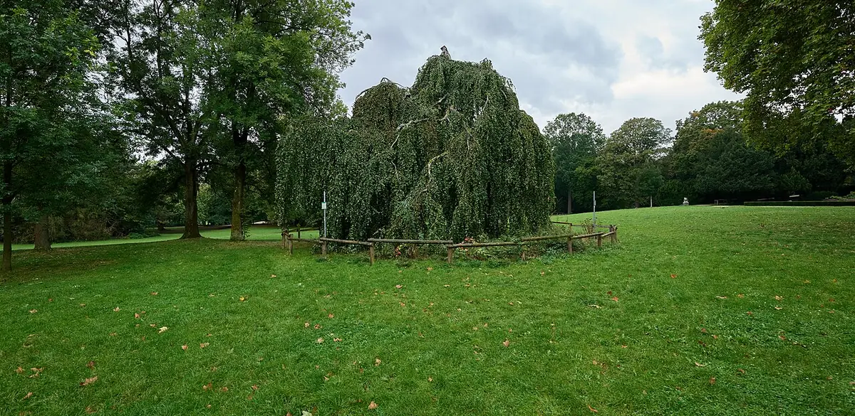 Grüneburgpark, Frankfurt am Main (Foto von 2024).