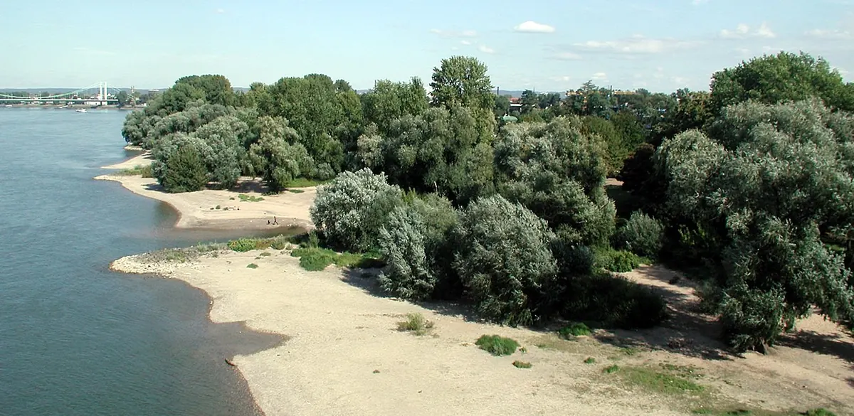 Ufer des Jugendparks im Rheinpark, Köln (Foto von 2008).