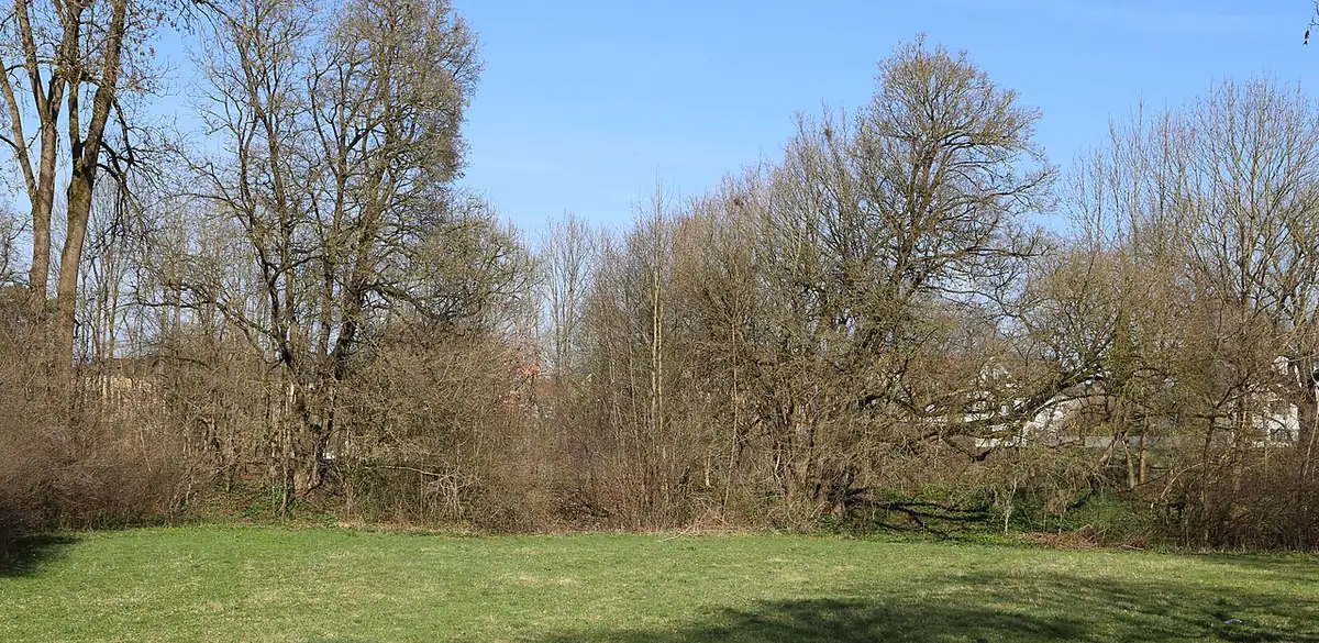 Pasinger Stadtpark, München (Foto von 2017).